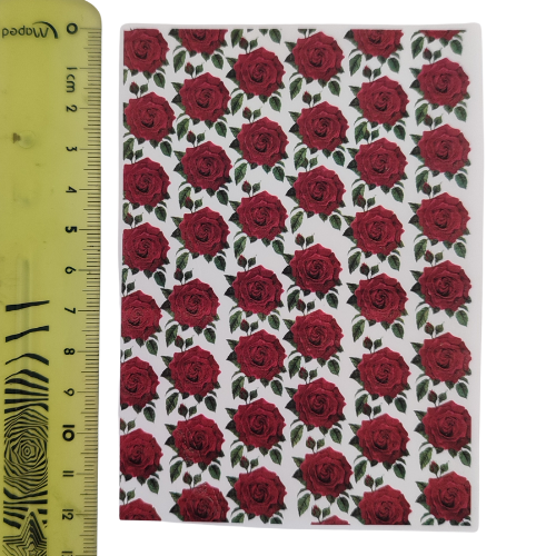 Transfer 4 - Rosas - Imagen 2