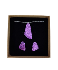 Conjunto 849